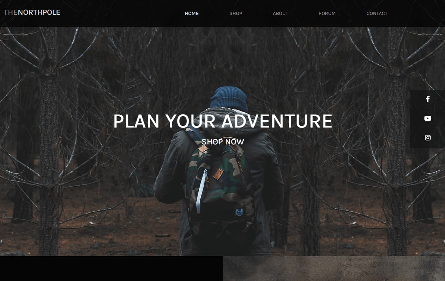 THENORTHPOLE backpack store website